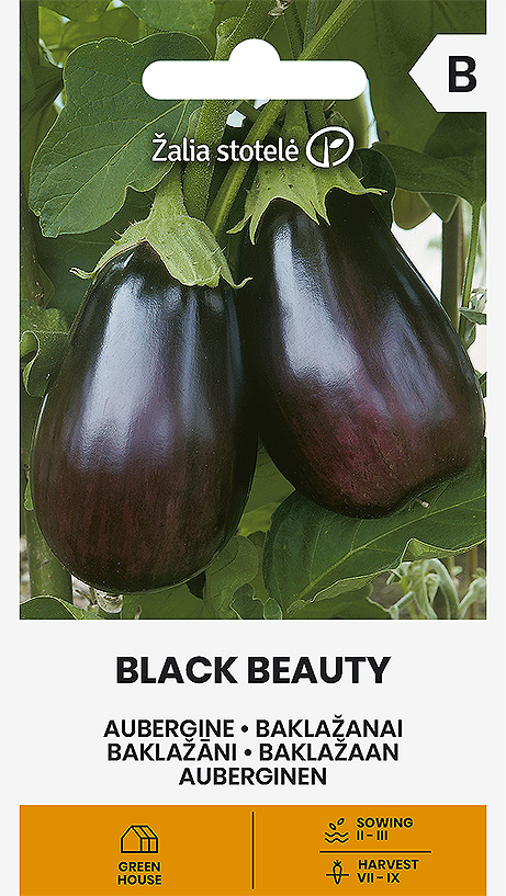 AUBERGINE BLACK BEAUTY