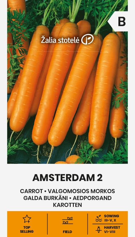 CARROT AMSTERDAM 2