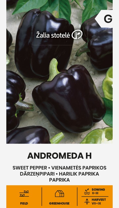 PEPPER SWEET ANDROMEDA H