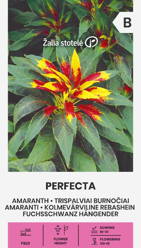 AMARANTI, PERFEKTA