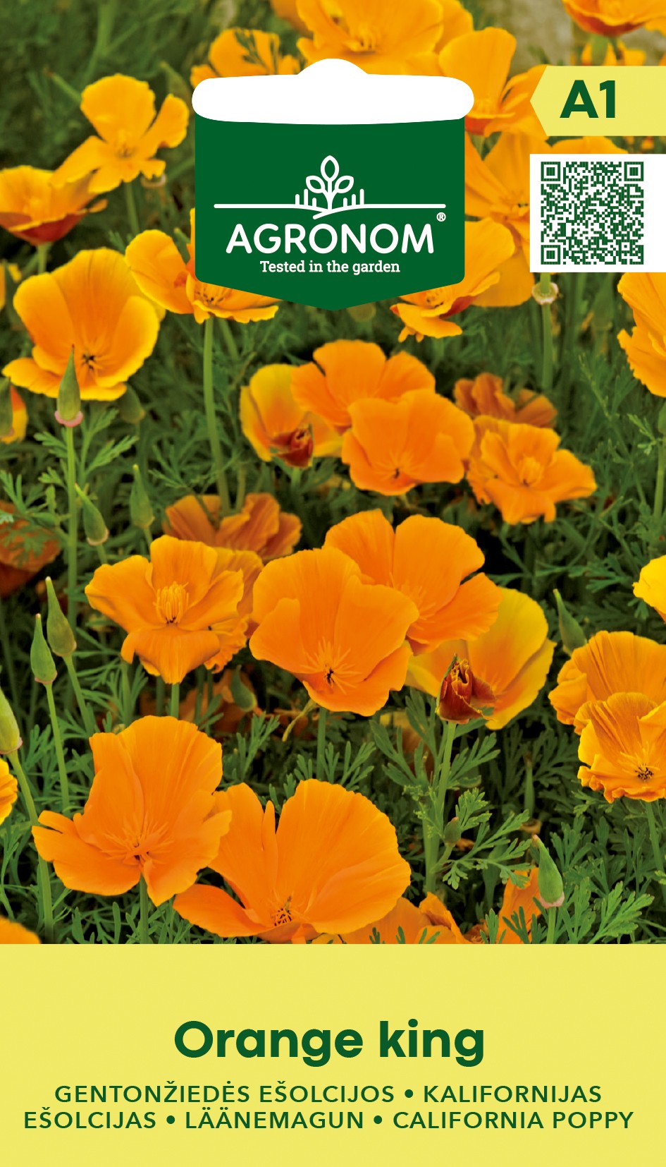 KALIFORNIJAS EŠOLCIJAS ORANGE KING