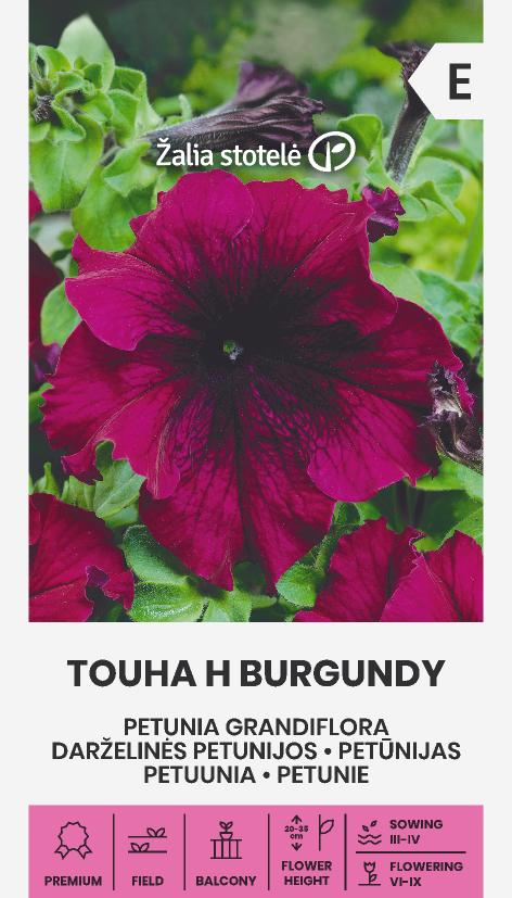 PETŪNIJAS GRANDIFLORA TOUHA H BURGUNDIJA