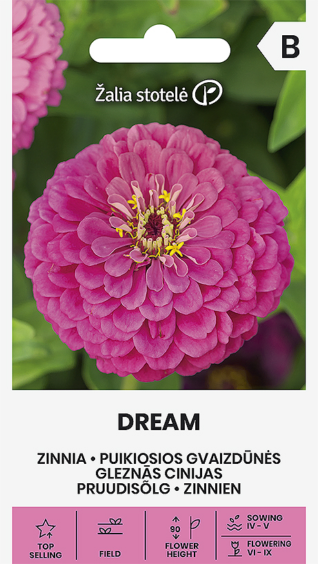 GLEZNĀS CINIJAS DREAM