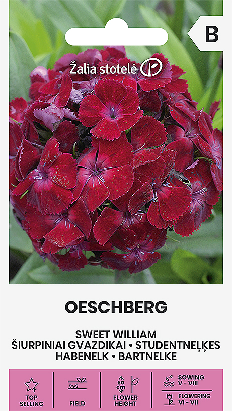 Studentneļķes OESCHBERG