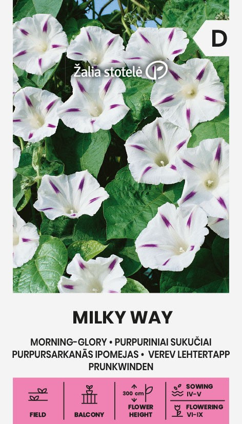 Purpursarkānas ipomejas MILKY WAY