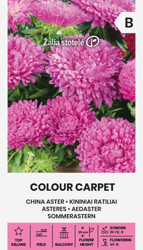 Asteres COLOUR CARPET