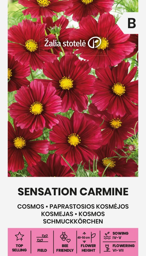 KOSMEJAS SENSATION CARMINE
