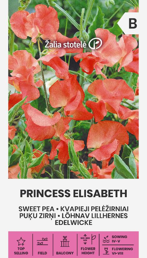 PUĶU ZIRŅU PRINCESS ELISABETH