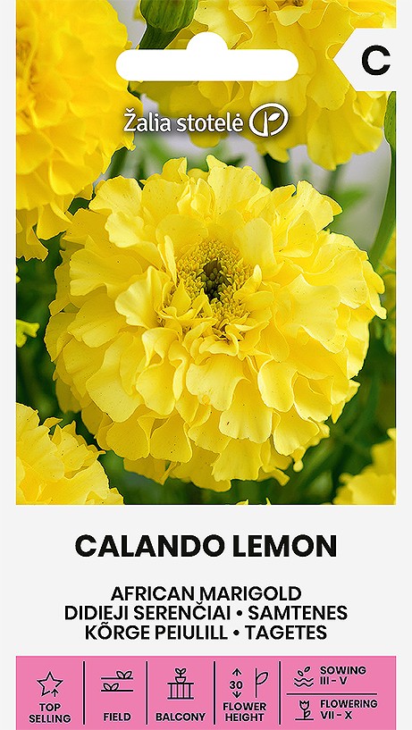 SAMTENES CALANDO LEMON