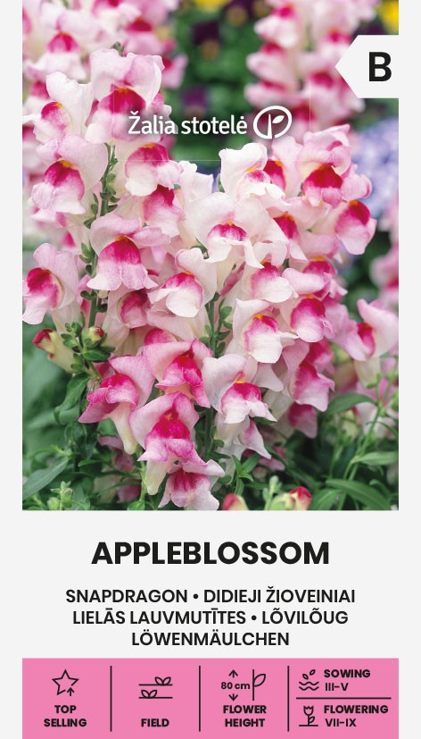 LIELĀS LAUVMUTĪTES APPLELOSSOM