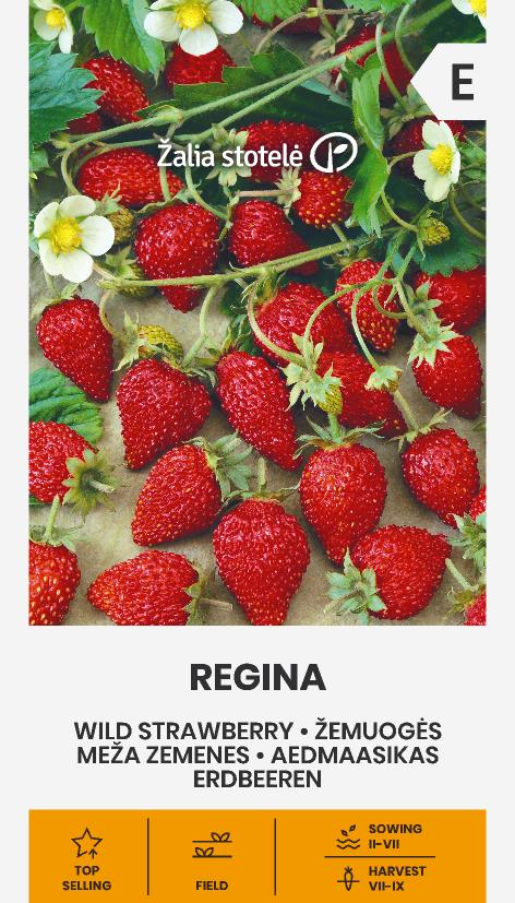 WILD STRAWBERRY REGINA