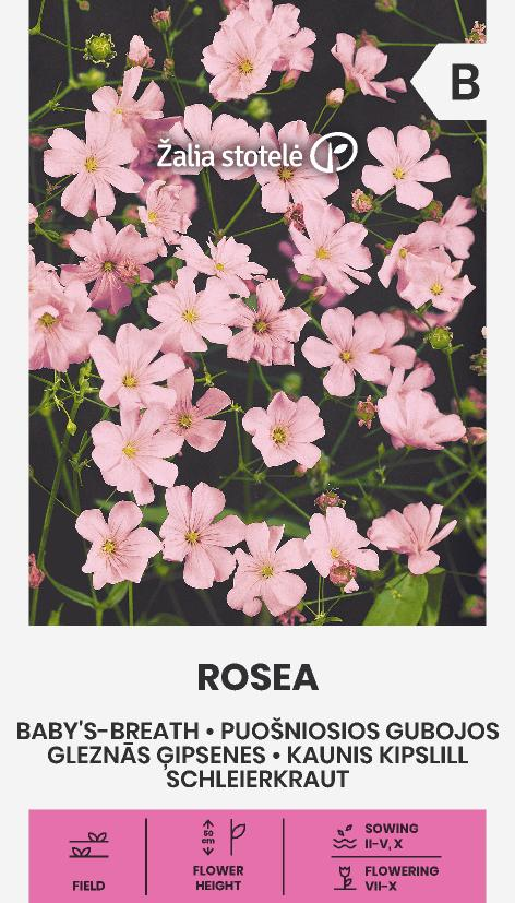 GLEZNĀS ĢIPSENES ROSEA
