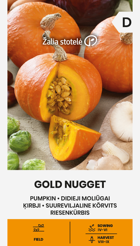 PUMPKIN GOLD NUGGET