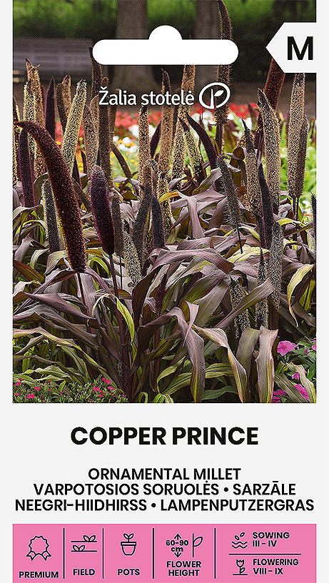 ZILGANZAĻĀ COPPER PRINCE H
