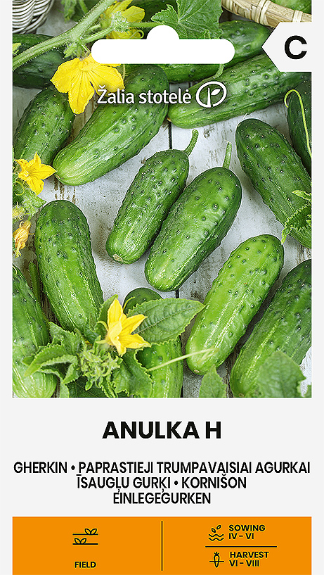 CUCUMBER (GHERKIN) ANULKA H