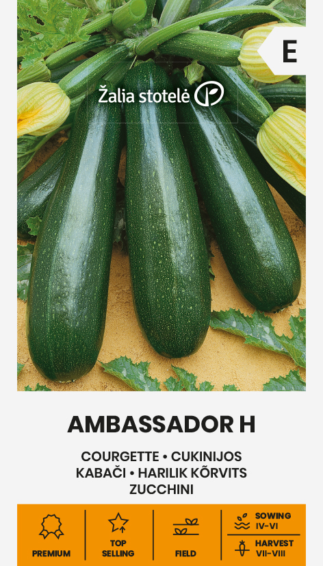 COURGETTE AMBASSADOR H