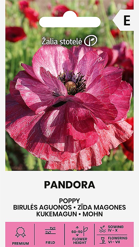 ZĪDA MAGONES PANDORA