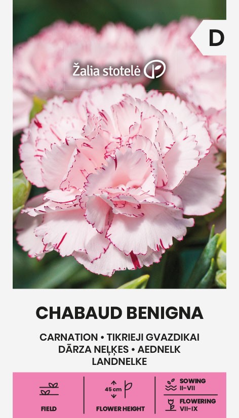 Dārza neļķes CHABAUD BENIGNA