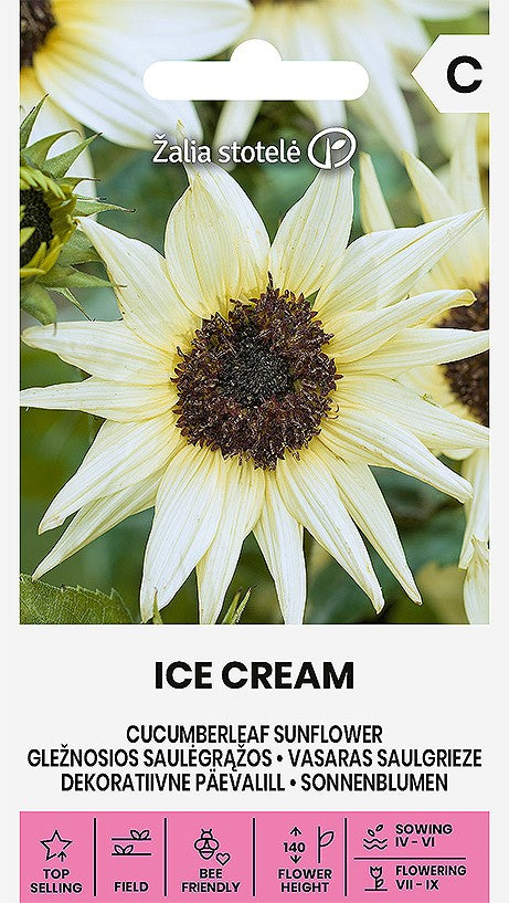 Vasaras saulgrieze  ICE CREAM