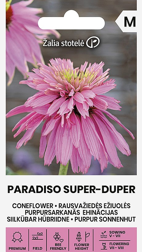 PURPURSARKANĀ EHINĀCIJA PARADISO SUPER-DUPER