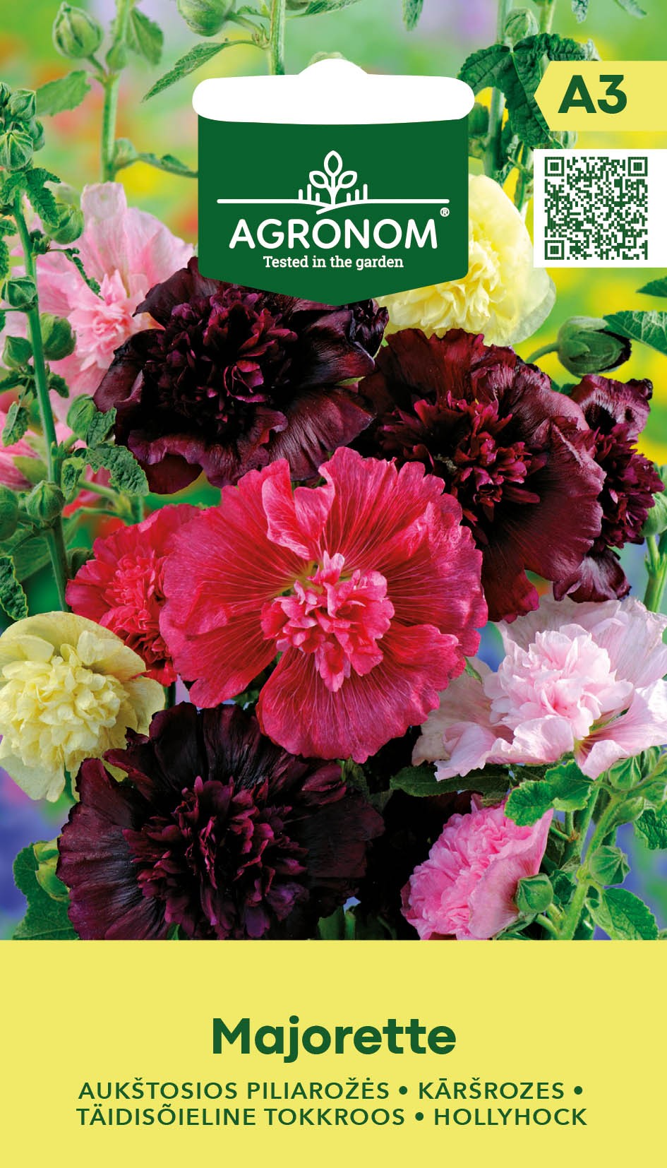 HOLLYHOCK MAJORETTE