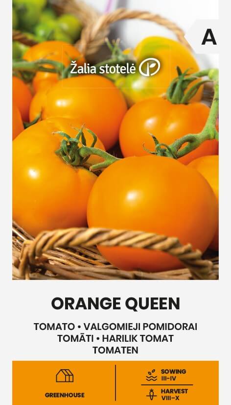 TOMATO ORANGE QUEEN – Alesyco