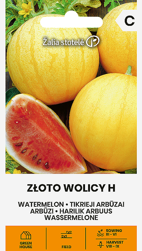 WATERMELON ZŁOTO WOLICY H