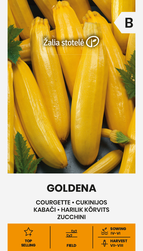 COURGETTE GOLDENA