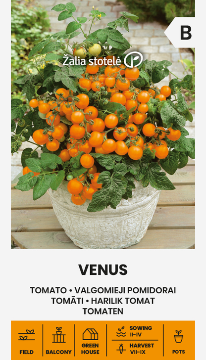 TOMATO VENUS