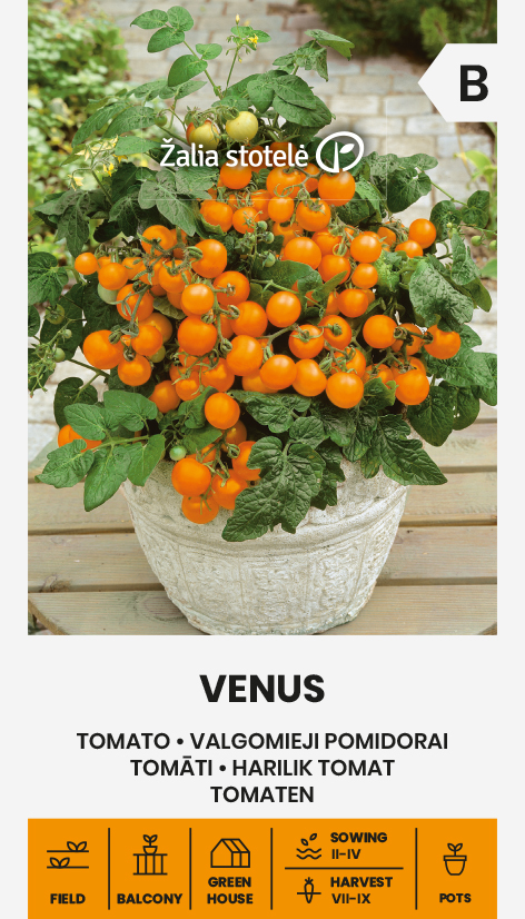 TOMATO VENUS