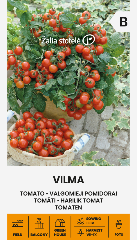 TOMATO VILMA