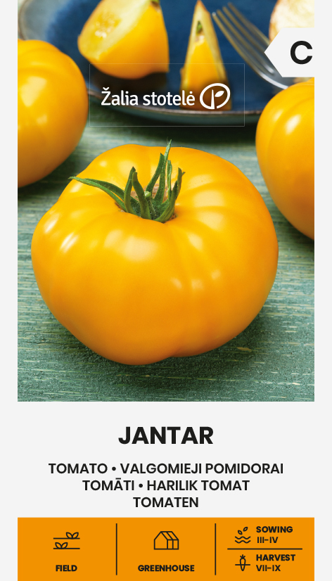 TOMATO JANTAR