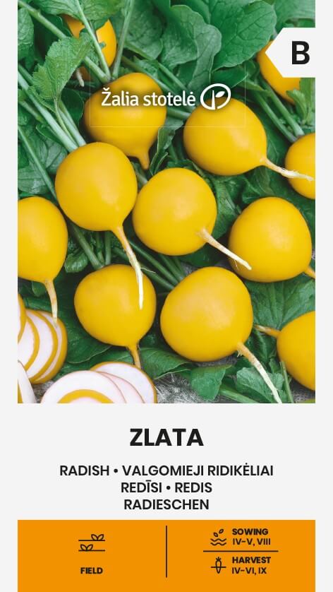 RADISH ZLATA