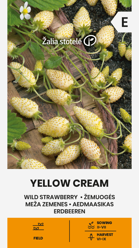 WILD STRAWBERRY YELLOW CREAM