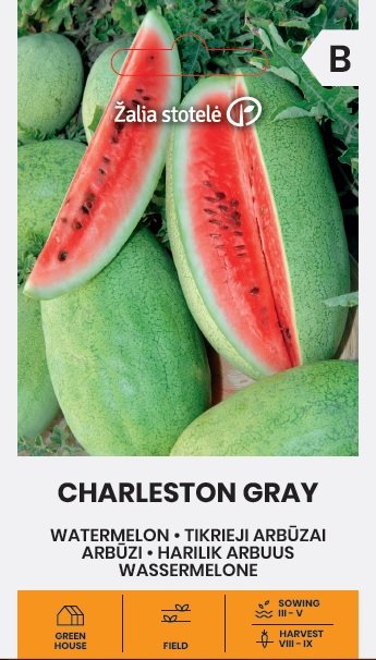 WATERMELON CHARLESTON GRAY