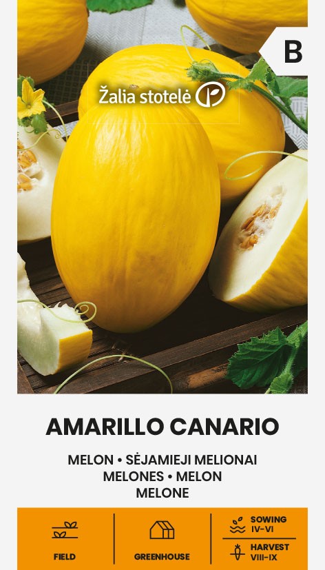 MELON AMARILLO CANARIO