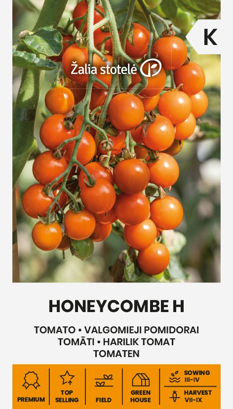 TOMATO HONEYCOMBE H