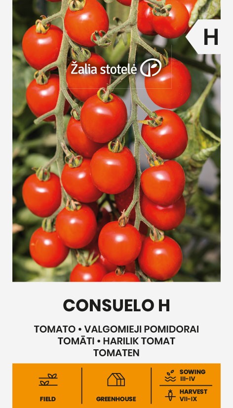 TOMATO CONSUELO H