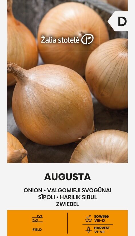 ONION AUGUSTA
